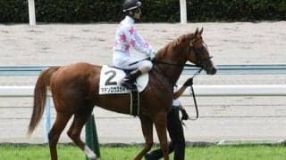 【エプソムC予想】狙うべき穴馬はどの人気ゾーンなのか？ 要注意すべき「前走ローテ」「枠」「脚質」を解析