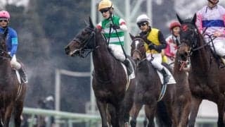 【日曜阪神8R予想】前走がハイレベル戦3着 今回は負けられない一戦になる