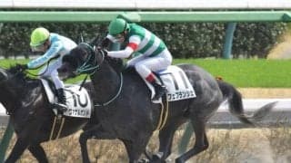 【川崎・関東オークス枠順】連勝中のフェブランシェは8枠13番、東京プリンセス賞を制したサーフズアップは2枠2番