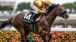 【エプソムC・馬体重】ジャスティンカフェは504kg(+4)、インダストリアは500kg(+2)