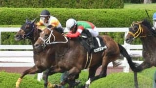 【三宮S結果】キングズソードが人気に応えて差し切りV