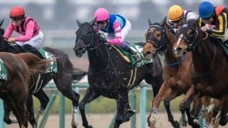 【函館SS登録馬】ウォーターナビレラ、トウシンマカオなど19頭