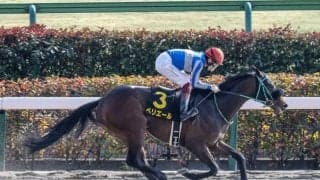 【ユニコーンS】ペリエール、ブライアンセンスらが登録