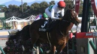 ダートの登竜門ユニコーンS、波乱必至の牝馬GIIIマーメイドS/今週の競馬界の見どころ