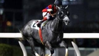 【川崎スパーキングスプリント枠順】電撃の900m重賞 JRA丸田恭介騎手とのタッグで挑むコウギョウブライトは7枠9番