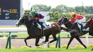 【函館7R】ハーツクライ産駒 カトルショセットが2勝目