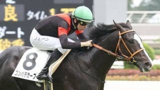 【新馬/東京5R】D.レーン「リラックスしていた」ゴンバデカーブースがデビューV