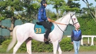 アマンテビアンコが初陣へ動き十分 母は交流重賞を3勝/関東馬メイクデビュー情報