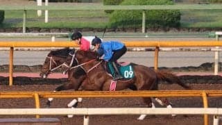 新種牡馬レイデオロ産駒初Vへ 調整続くスノーライトニング/関西馬メイクデビュー情報