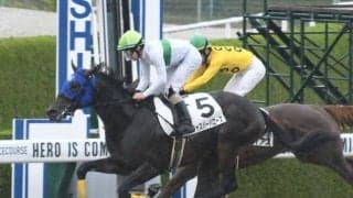 【AI予想・ユニコーンS】穴馬の台頭にも注意!? 波乱含みの見解を示す人工知能の本命候補とは