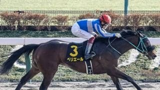 【ユニコーンS想定騎手】ペリエールはC.ルメール騎手、グレートサンドシーは川田将雅騎手