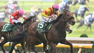 重賞初制覇したジャスティンカフェ サドラーズウェルズのクロスが生み出す好成績