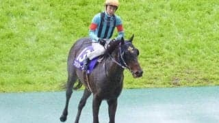 【先週のJRA抹消馬】高松宮記念覇者ファストフォース、ダート短距離で重賞3勝を挙げたジャスティンなどが抹消