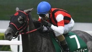 【マーメイドS想定騎手】ウインマイティーは和田竜二騎手、ビッグリボンは西村淳也騎手