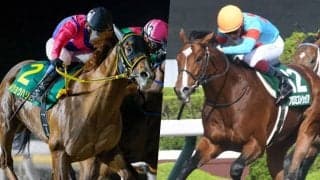 【帝王賞選定馬】連覇を狙うメイショウハリオや5連勝中のプロミストウォリアなど