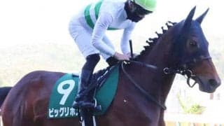 キセキの妹が重賞初制覇へ 得意舞台のマーメイドSでさらに“出世の階段”のぼる