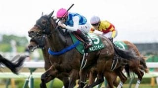 ロードカナロア×サクラバクシンオー 活躍馬多数の配合パターン