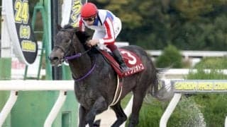 【ユニコーンS展望】3歳ダート路線の出世レース、距離延長組は苦戦傾向