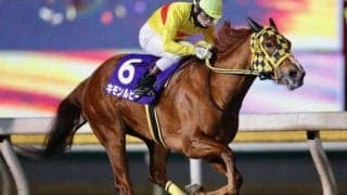 【川崎スパーキングスプリント注目馬】900mの超短距離重賞 1分足らずの電撃戦を制すのは