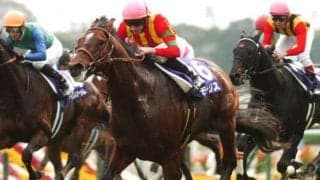 豪G1・3勝のモーリス産駒ヒトツが種牡馬入り