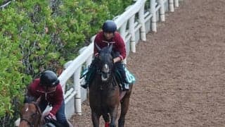 キャプテンシーなど、先週のゲート試験/栗東トレセンニュース