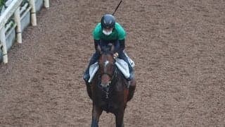 ノットゥルノなど、先週の入厩情報/栗東トレセンニュース