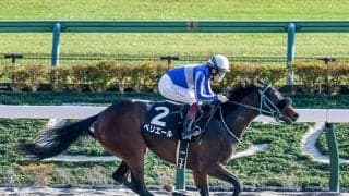 【ユニコーンS予想オッズ】ペリエールが予想1番人気