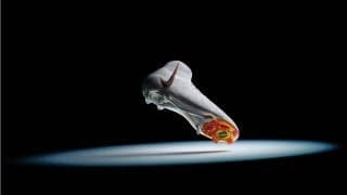 女性の意見を多く取り入れ開発！ ナイキが新スパイク「ファントム ルナ」を発表…２年以上を費やし、女性を中心に考えたシューズ