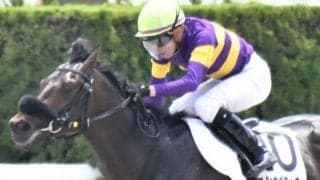 武豊騎手がユニコーンS3勝目狙う 05年には“砂のディープ”カネヒキリで勝利