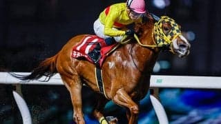 【川崎・川崎スパーキングスプリント結果】キモンルビーが逃げ切り久々の重賞V