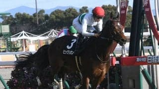 【マーメイドS予想オッズ】ビッグリボンが予想1番人気