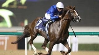 18年のドバイSC覇者 ホークビルの産駒が初勝利