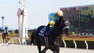 デルマルーヴルが競走馬登録抹消