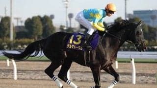 ダート重賞2勝のデルマルーヴルが登録抹消 地方競馬移籍へ