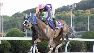 【グランダム・ジャパン2023】3歳シーズン 第14代女王は兵庫のマルグリッド