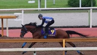 スルーセブンシーズ、宝塚記念1週前追い切り速報/栗東トレセンニュース