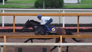 ジェラルディーナ、宝塚記念1週前追い切り速報/栗東トレセンニュース