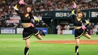 ハニーズだってバズりたい！　鷹の新名物誕生秘話「きつねダンスを超えるものを」