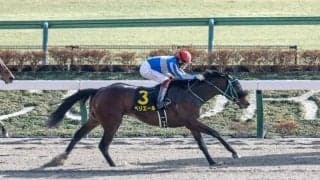 【ユニコーンS出走馬・騎手確定】ペリエール＆C.ルメール騎手、グレートサンドシー＆川田将雅騎手など15頭