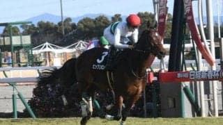 【マーメイドS出走馬・騎手確定】ビッグリボン＆西村淳也騎手、ストーリア＆坂井瑠星騎手など13頭