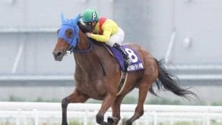【名古屋・トリトン争覇結果】ブリーザフレスカが勝ち人馬共に初重賞制覇
