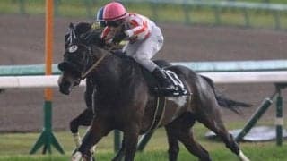 マーメイドSはキズナ産駒が穴をあける！ 得意な阪神芝2000mで狙える2頭とは