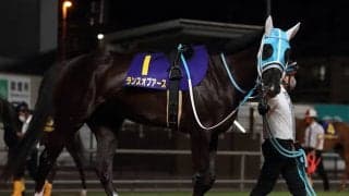 マーメイドSは近5年で51kg以下が4勝 今年は激走候補が3頭浮上