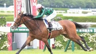 【新馬/阪神5R】ヒヒーンがデビューV…馬なりで楽々抜け出す