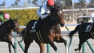 【マーメイドS枠順確定】ビッグリボンは4枠4番、ストーリアは6枠9番