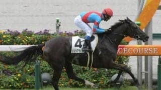 マーメイドＳは小粒なメンバーの中でも「格下的存在」のキズナ産駒、キャリア薄のドゥラメンテ産駒の激走に期待