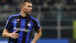 ジェコ、フェネルバフチェにフリー移籍か…交渉順調