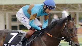 良馬場なら複勝率100%！ エルパソは敗因明確な前走から巻き返し可能