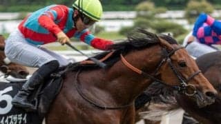 前走は大きな不利で不完全燃焼 トゥデイイズザデイが巻き返す