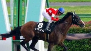 【スレイプニルS予想】ダートに転じて4戦連続連対 勢いそのままOPでも